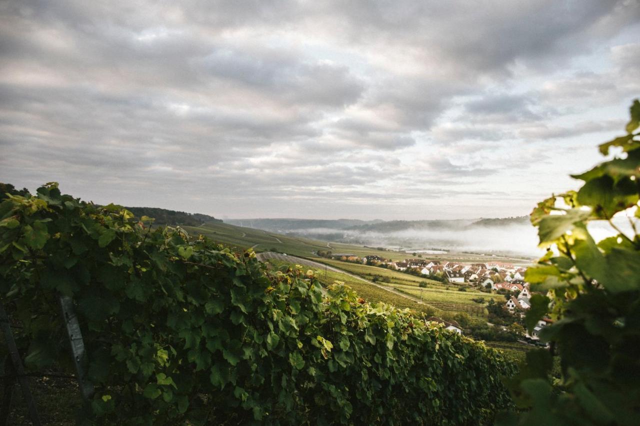 Weingut Pastoriushaus - Artur Steinmann Hotel Sommerhausen Exterior photo